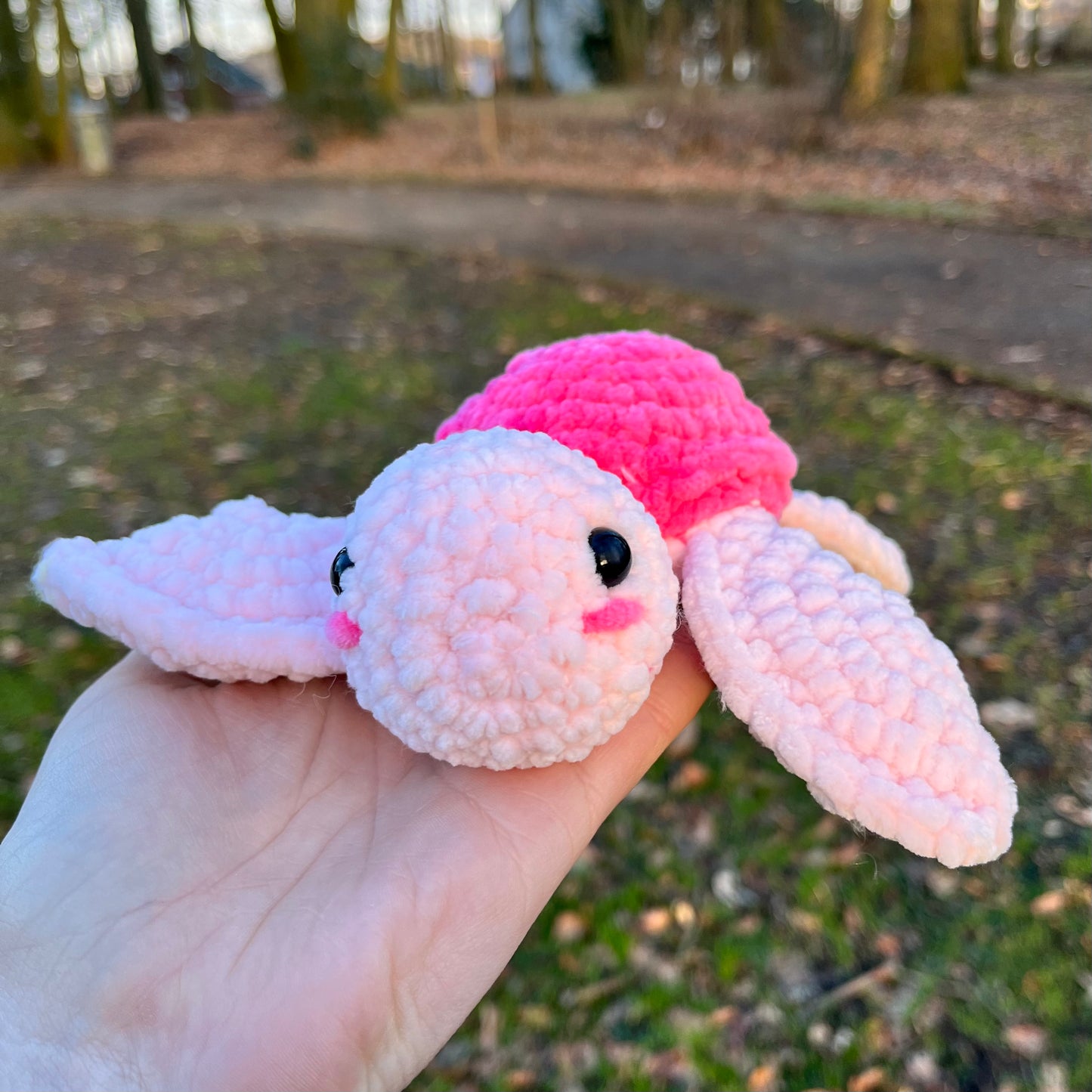 La bébé tortue