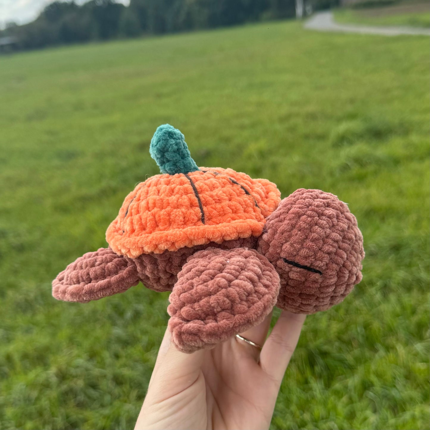 Tortue Pumpkin đ