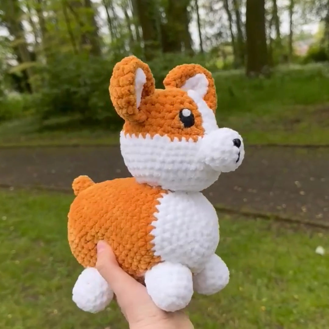 Corgi 🐕