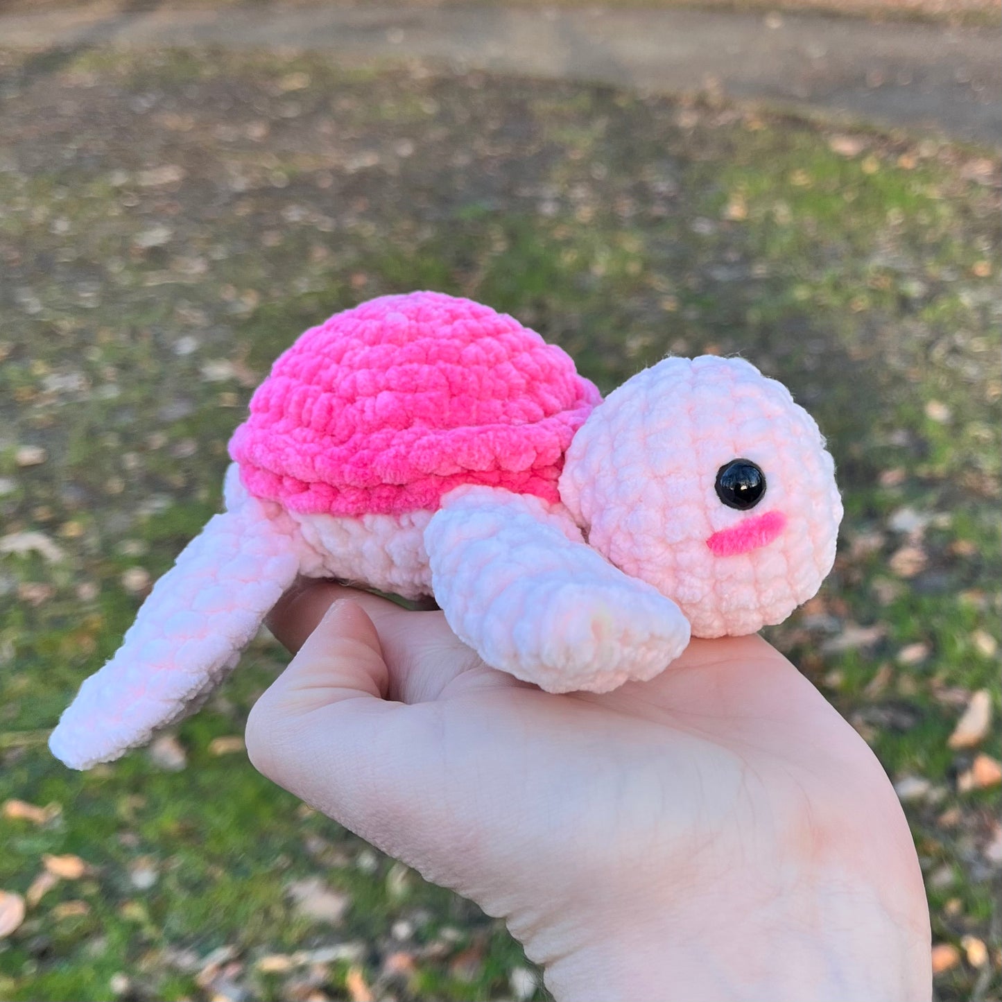 La bébé tortue