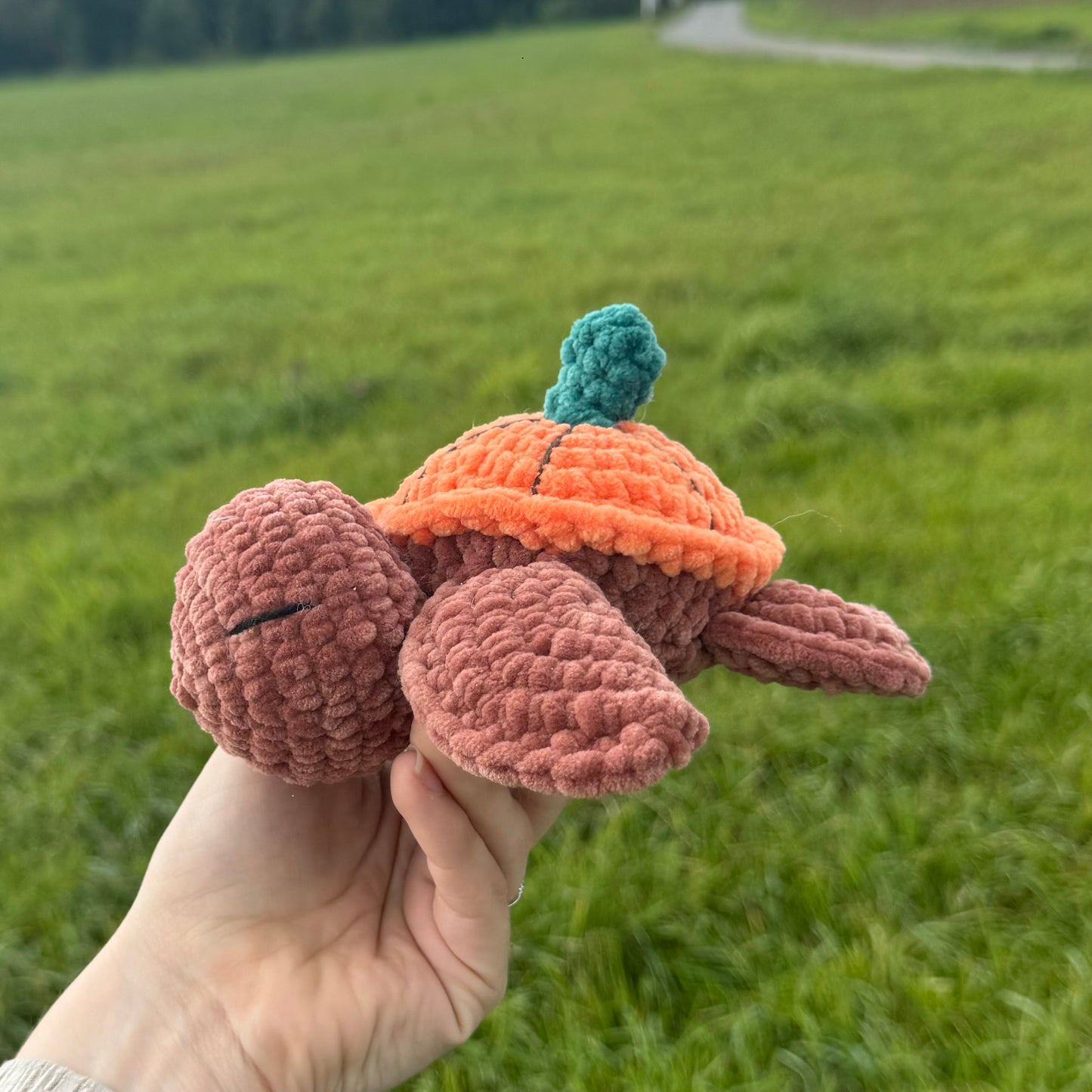 Tortue Pumpkin đ