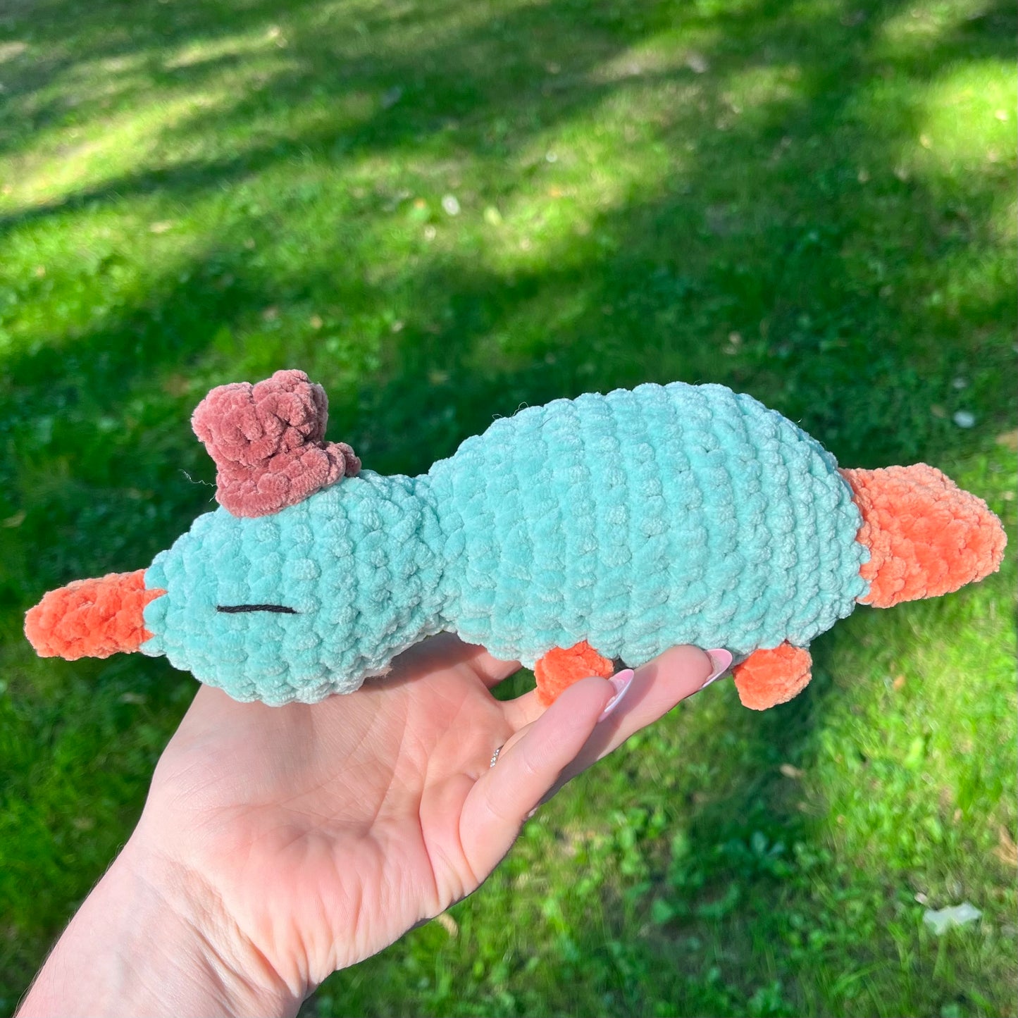 Perry l’Ornithorynque 🎩