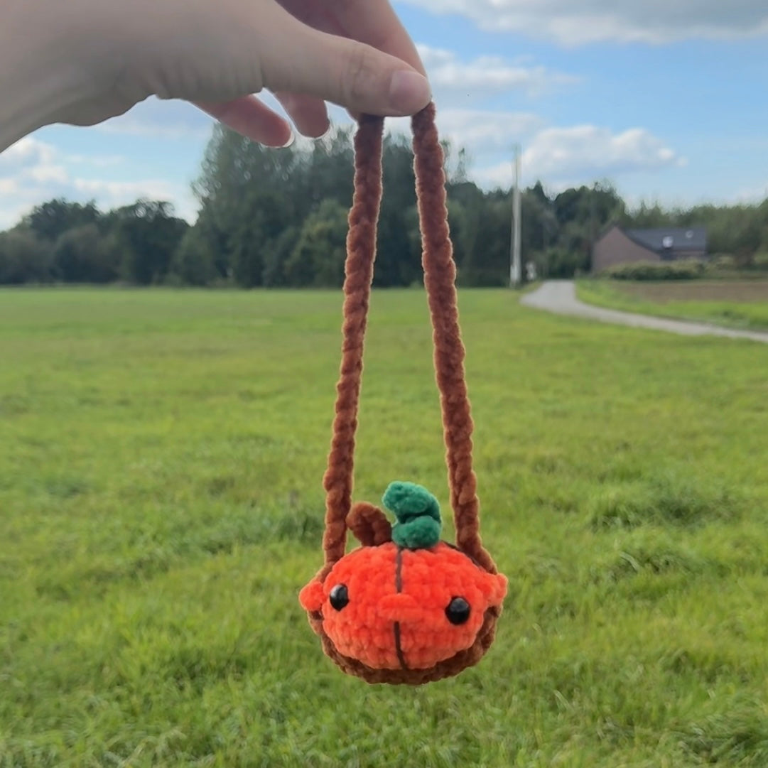 Pumpkin sur balançoire 🎃