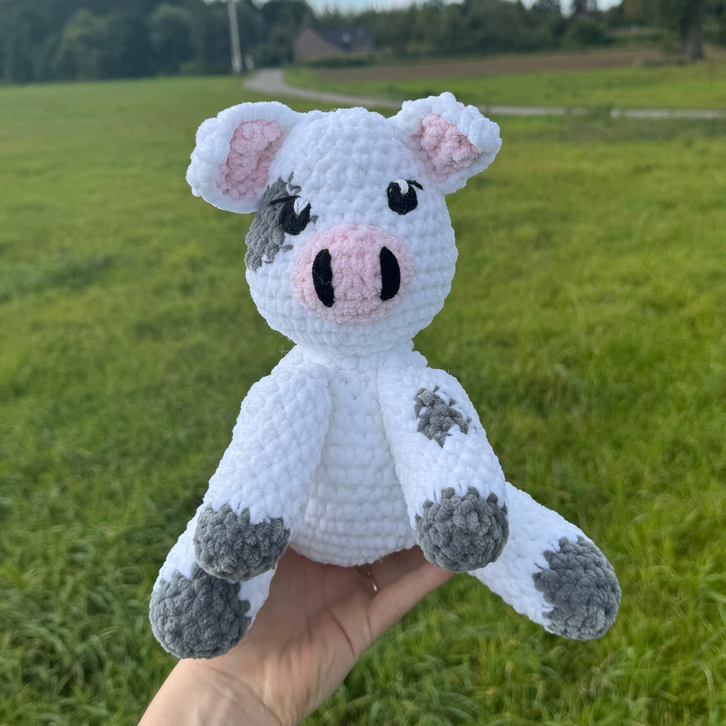Pua 🐽🏝️