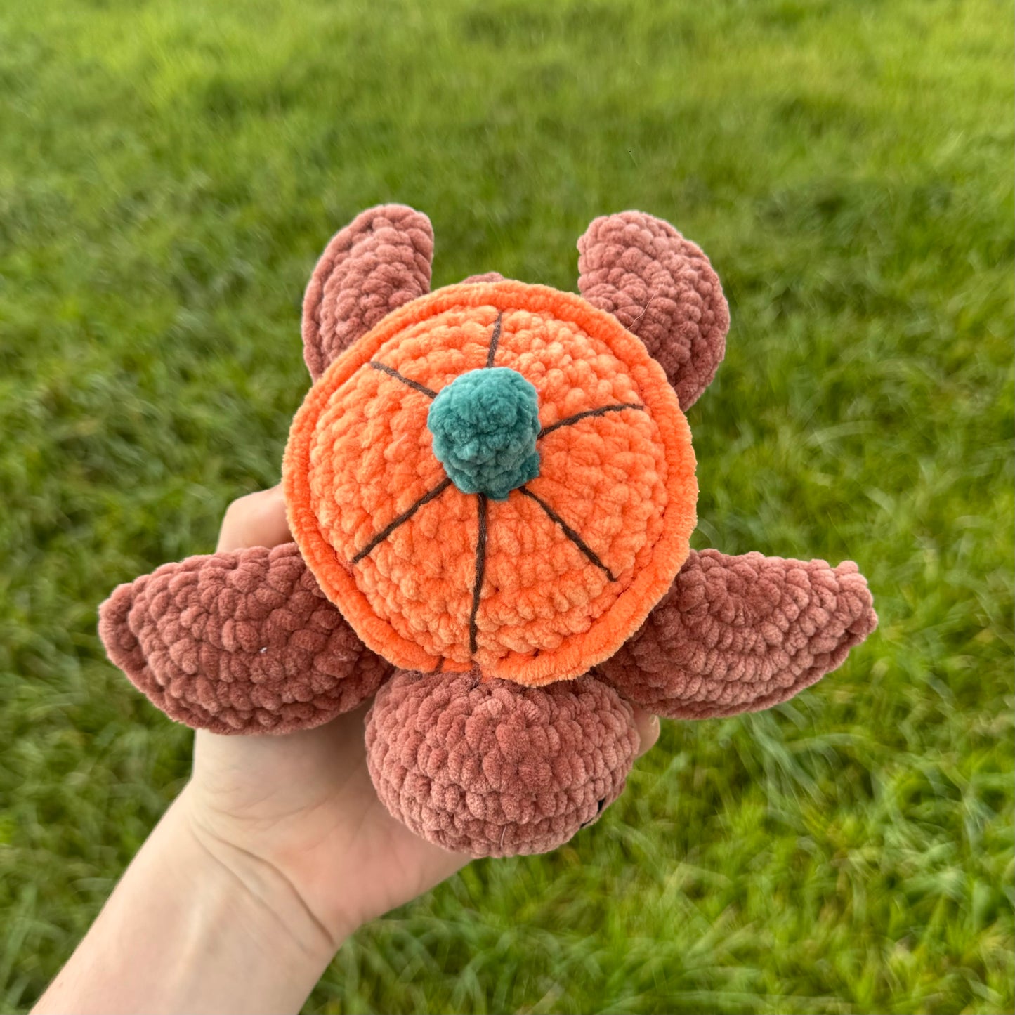 Tortue Pumpkin đ