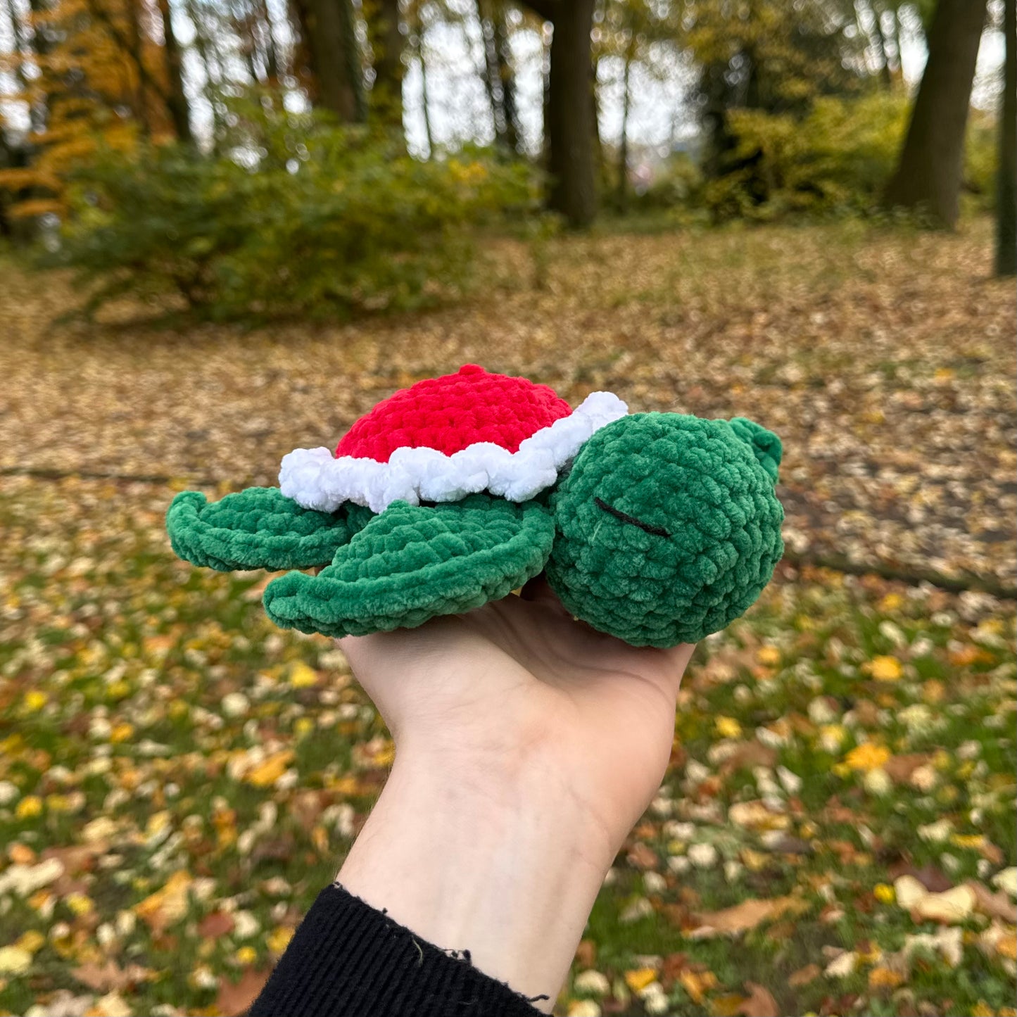 Tortue Fleur de Noël 🌹🐢