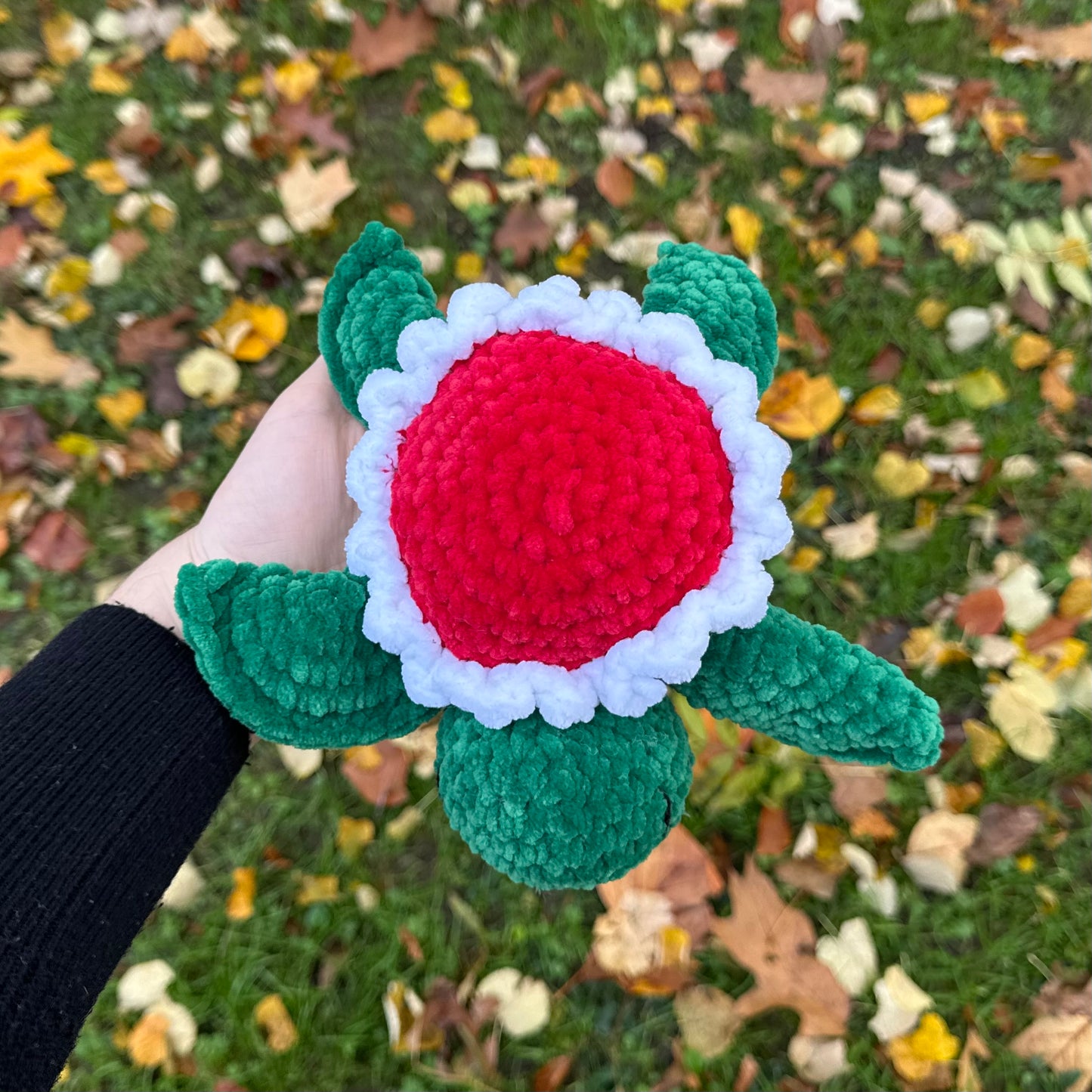 Tortue Fleur de Noël 🌹🐢