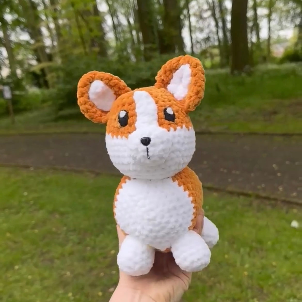 Corgi 🐕