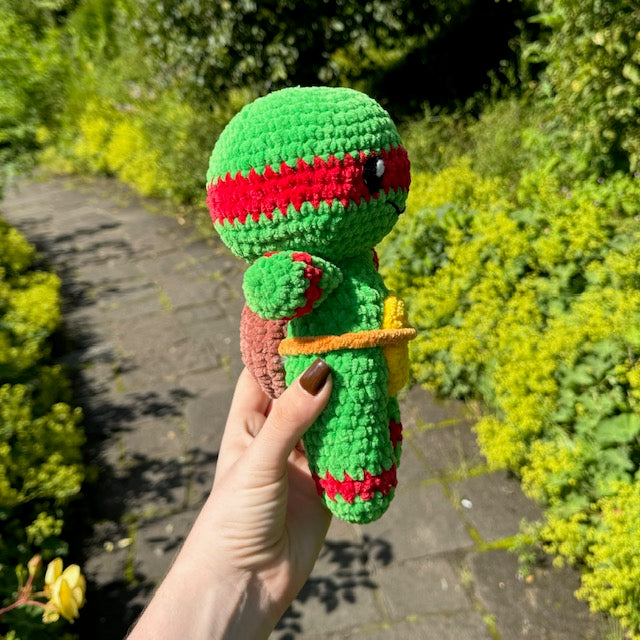 Tortue 🐢 🥷