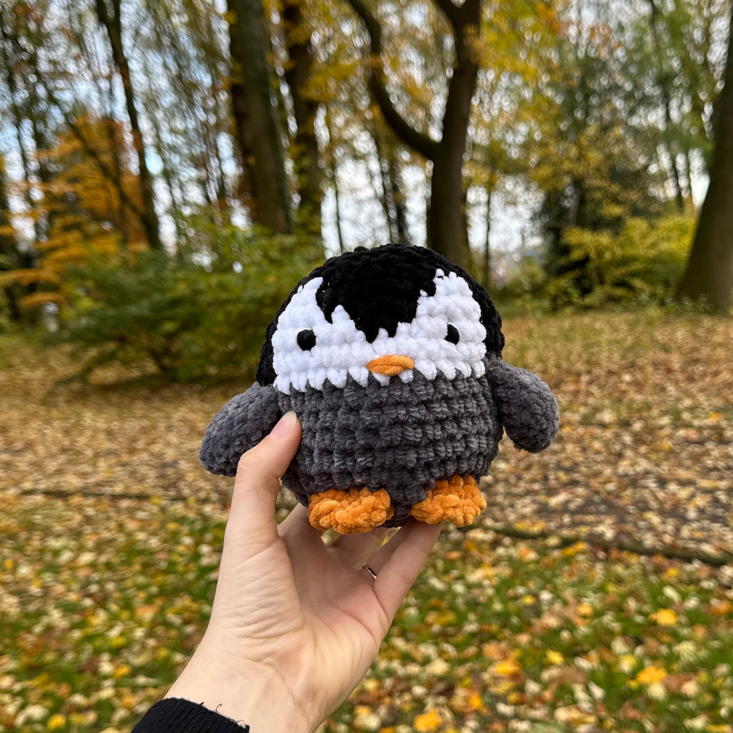 Pingouin 🐧❄️