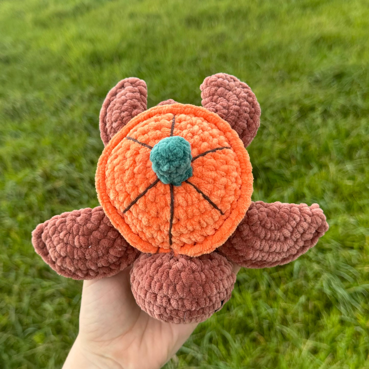 Tortue Pumpkin đ