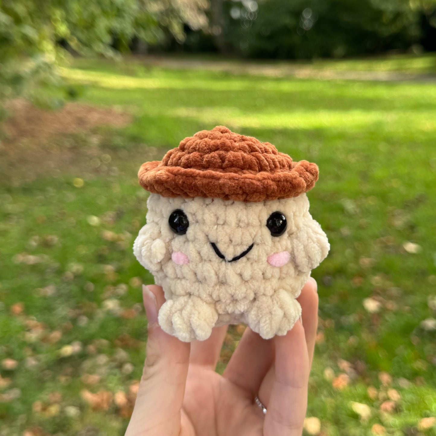 Choupignon 🍄‍🟫