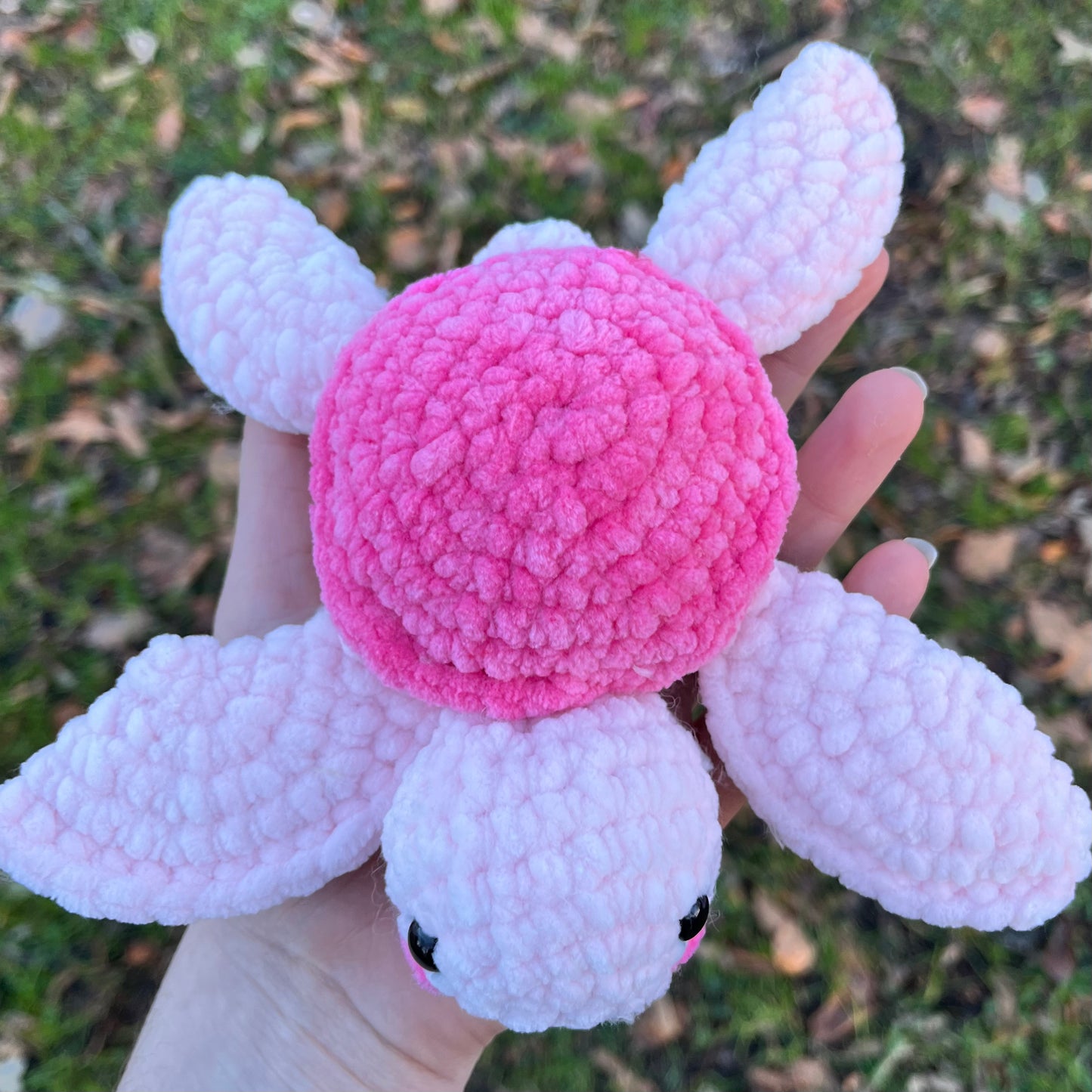 La bébé tortue