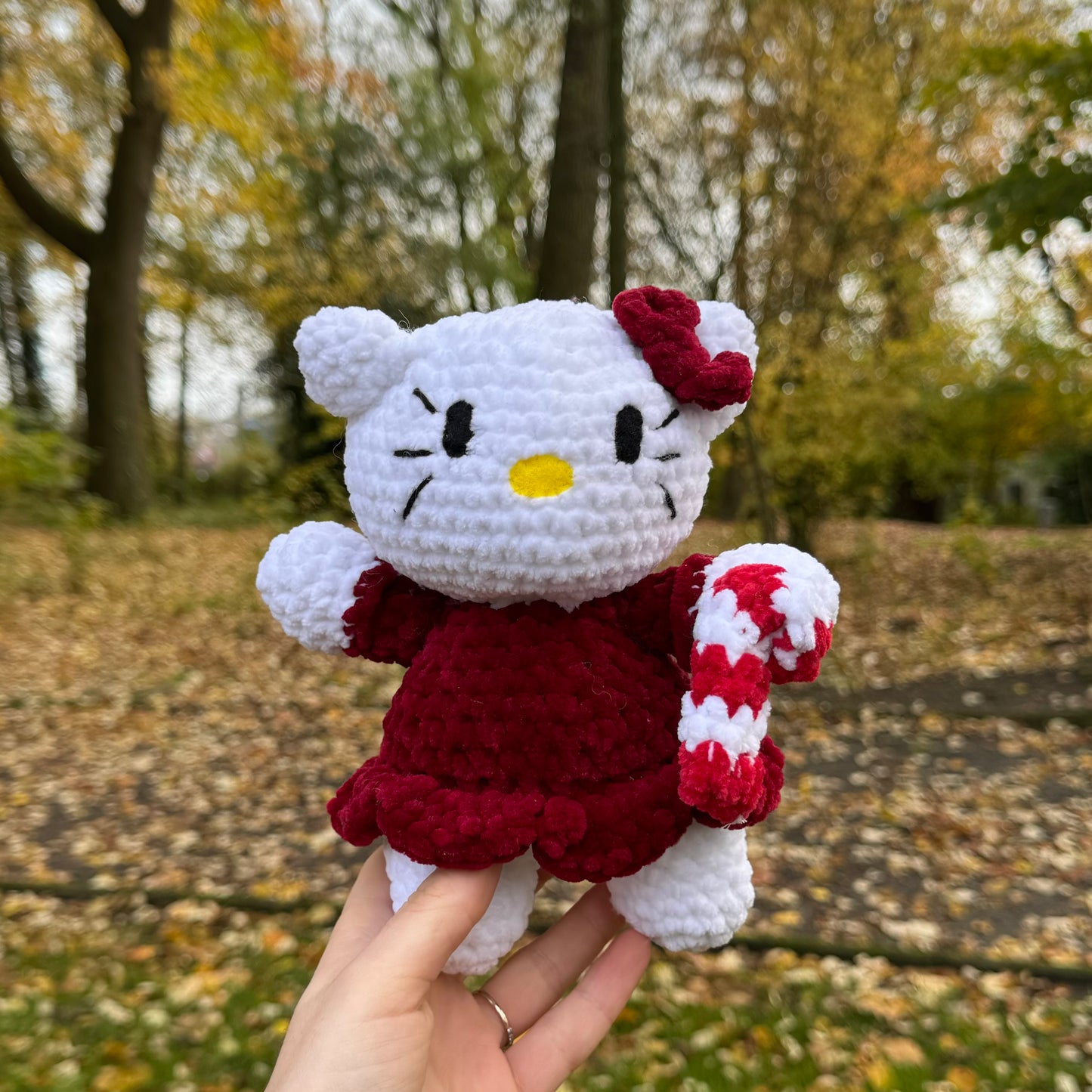Christmas Kitty 🌟♥️