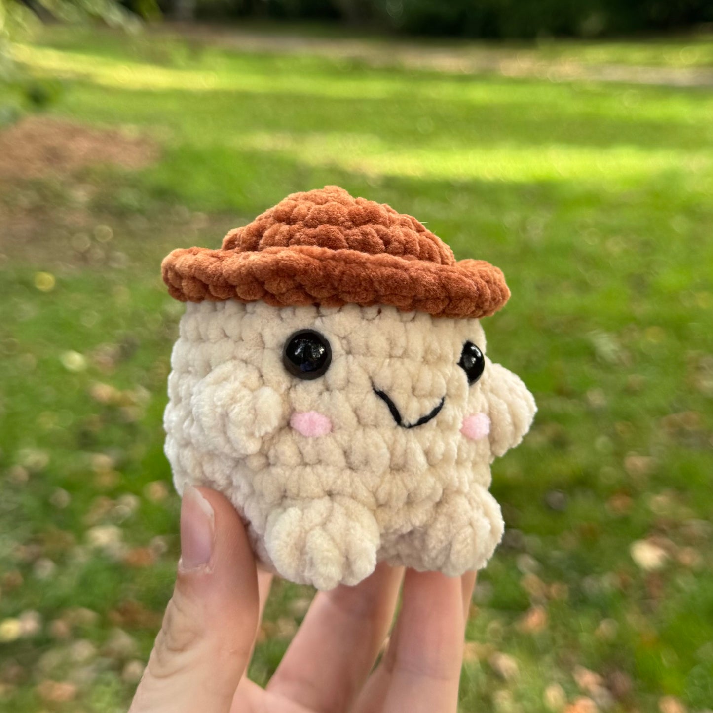 Choupignon 🍄‍🟫