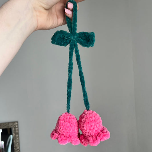 Commande anissa